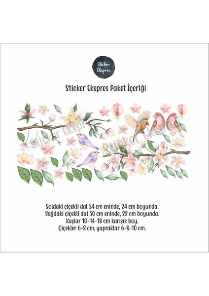 Renkli Çiçekli Bahar Dalları ve Kuşlar Sticker Seti, 5+ Parça, Canlı ve Neşeli Tasarım fiyatları