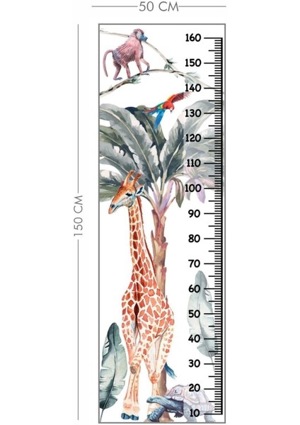 Renkli hayvan figürleri boy ölçer sticker, eğlenceli ve kullanışlı dekorasyon 50x150 modelleri