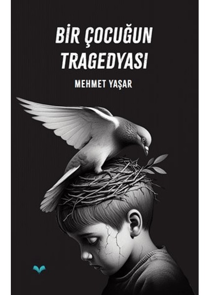 Bir Çocuğun Tragedyası - Mehmet Yaşar