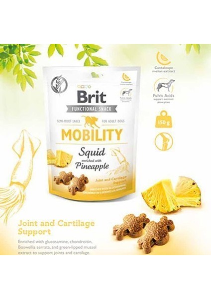 Mobility Ananas ve Kalamarlı Köpek Ödül Maması 150 gr