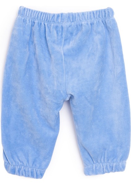 Basic Lastikli Kadife Eşofman Alt Erkek Bebek fiyatları