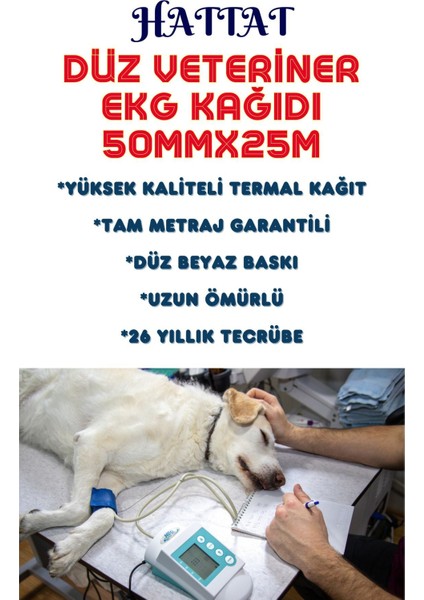 10 Rulo Veteriner Ekg 50mmx25metre Tam Metrajlı Yüksek Kaliteli Düz Rulo Termal Kağıt