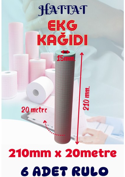 6 Adet Rulo Ekg Ecg 210mmx20metre Tam Metrajlı Yüksek Kaliteli Hassas Karelajlı Rulo Termal Kağıt