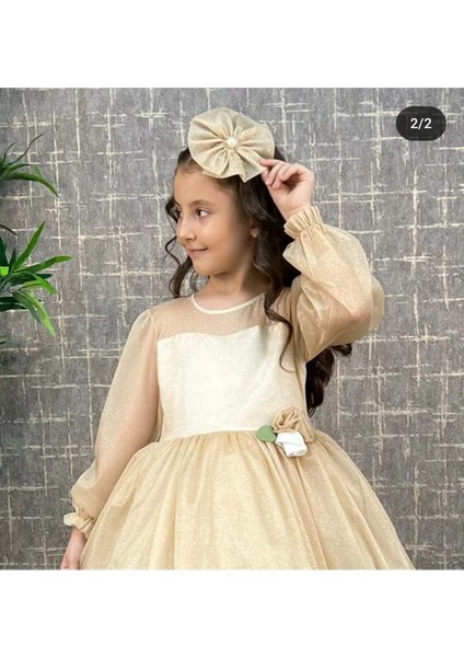 Simli Uzun Kollu Elbise