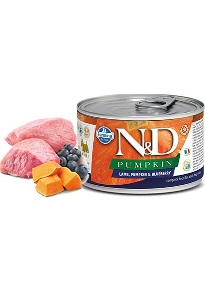 Pumpkin Balkabaklı Kuzulu Yaban Mersinli Küçük Irk Tahılsız Yetişkin Köpek Konservesi 6 Adet 140 gr