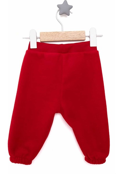 Basic Polar Pantolon Erkek Bebek fiyatları