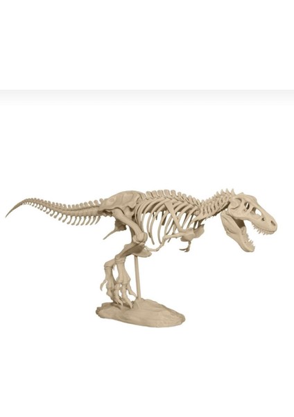 T-Rex Iskeleti