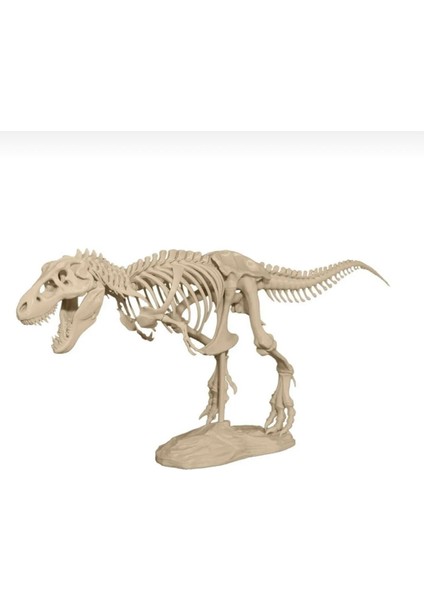 T-Rex Iskeleti modelleri