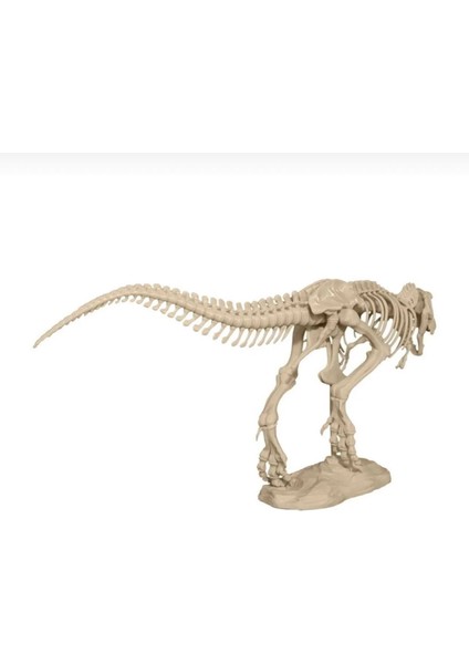 T-Rex Iskeleti fırsatları