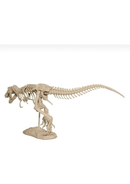 T-Rex Iskeleti indirimleri