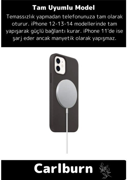 IPhone 7 8 x 11 12 13 14 15 Uyumluplus Tüm Serilere Uyumlu 20W Hızlı Şarj Seti Adaptör ve Type C
