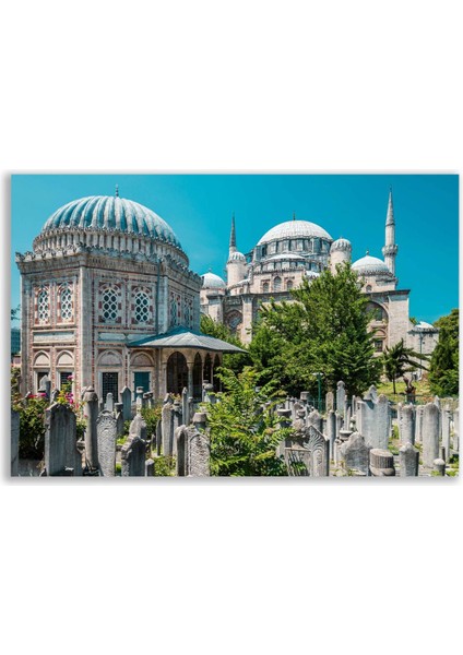 Istanbul Şehzade Camii Tablosu - OTMN128