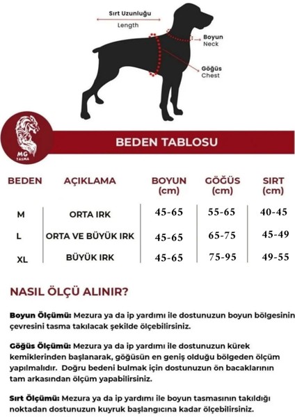 MgTasma Kişiye Özel, Isimli K9 Köpek Tasması, Boyun Tasması Kırmızı