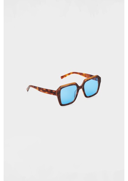 Cali Hazel Blue fiyatları