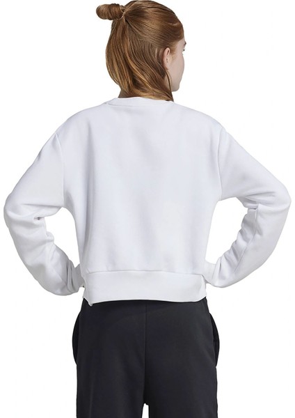 Çocuk Sweatshirt Jg Glm Crew IX9330