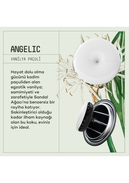 Araba Klima Kokusu, Spin Oto Kokusu, Profesyonel Otomobil Kokusu - Angelic 6 Adet