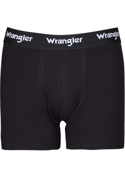 Regular Fit Normal Kesim Siyah Tekli Boxer