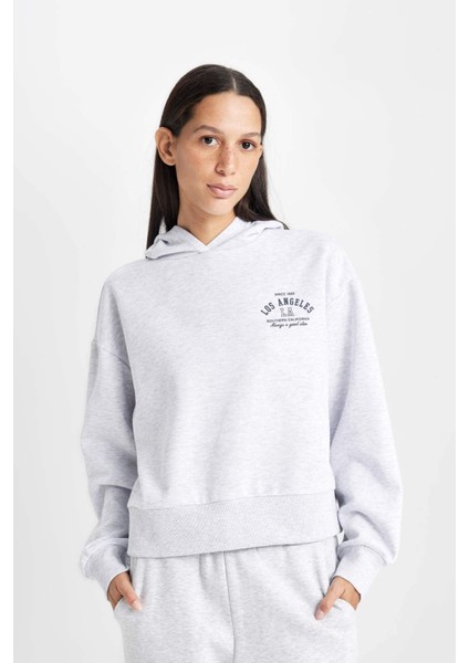 Regular Fit Kapüşonlu Baskılı Kalın Sweatshirt D6720AX24WN