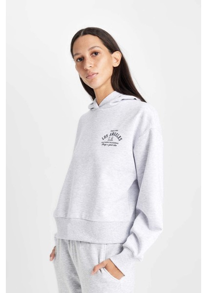 Regular Fit Kapüşonlu Baskılı Kalın Sweatshirt D6720AX24WN