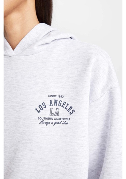 Regular Fit Kapüşonlu Baskılı Kalın Sweatshirt D6720AX24WN