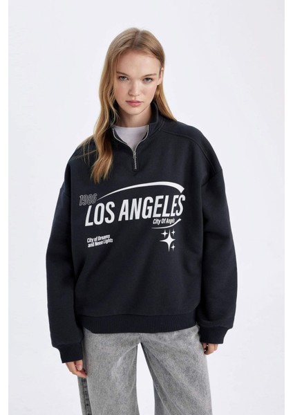 Loose Fit Yarım Fermuarlı Dik Yaka Baskılı Kalın Sweatshirt D7013AX24WN modelleri