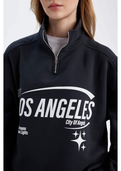 Loose Fit Yarım Fermuarlı Dik Yaka Baskılı Kalın Sweatshirt D7013AX24WN indirimleri