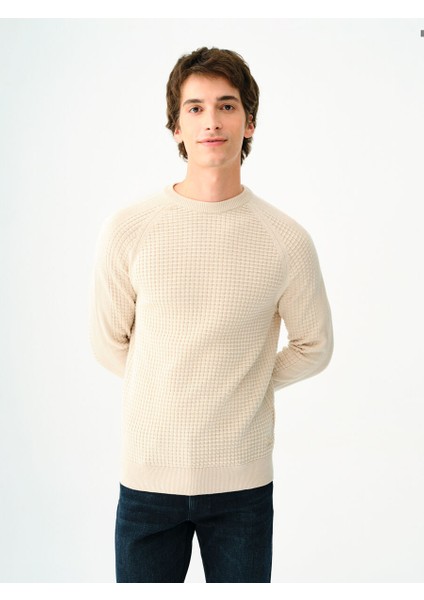 Regular Fit Erkek Kazak