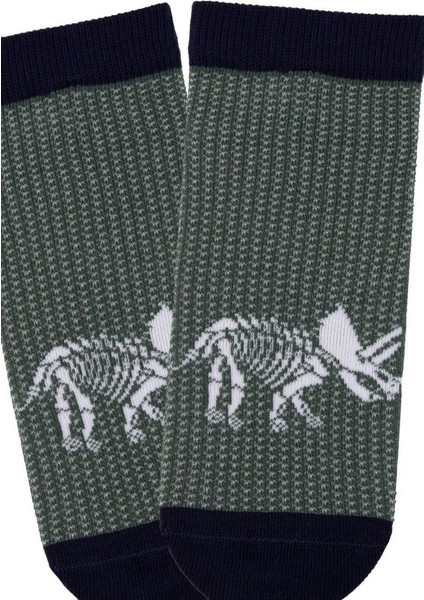 Çocuk 3lü Dinozor Desenli Patik Çorap ONL-02581