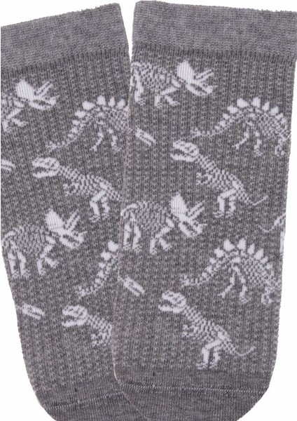 Çocuk 3lü Dinozor Desenli Patik Çorap ONL-02581