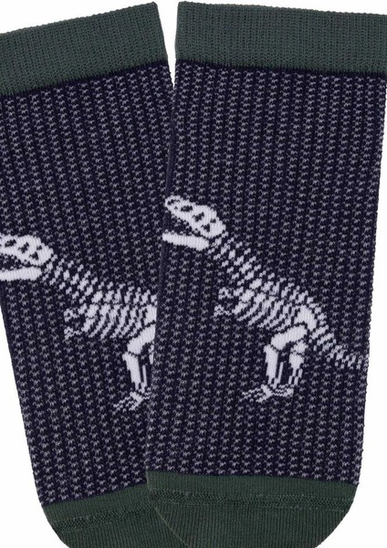 Çocuk 3lü Dinozor Desenli Patik Çorap ONL-02581