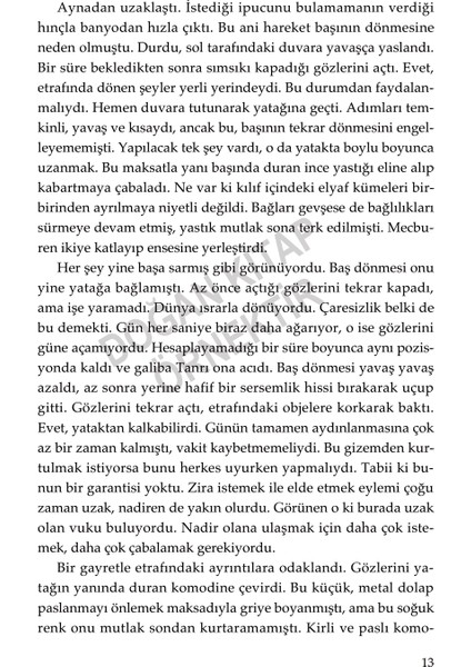 Demans / Bir Unutma Hikâyesi - Ş. Ülkü Altundal Ercan