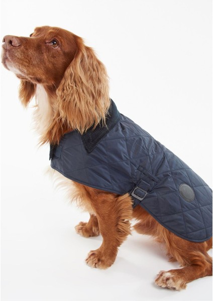 Quilted Köpek Kıyafeti NY52 Navy