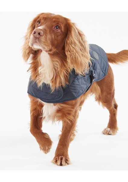 Quilted Köpek Kıyafeti NY52 Navy modelleri