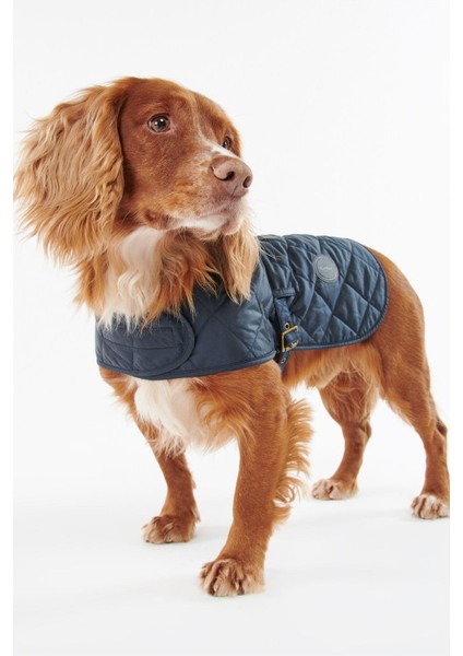 Quilted Köpek Kıyafeti NY52 Navy fırsatları