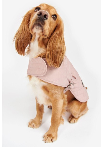 Quilted Köpek Kıyafeti PI12 Pınk