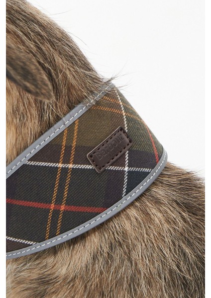 Comfort Lurcher Köpek Tasması TN11 Classic Tartan fırsatları