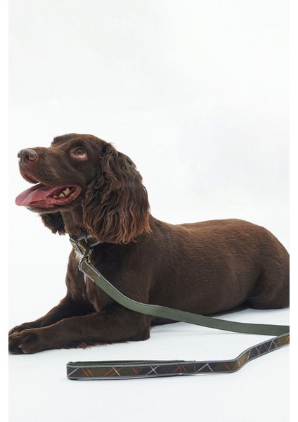 Reflective Tartan Comfort Köpek Tasması TN11 Classic Tartan