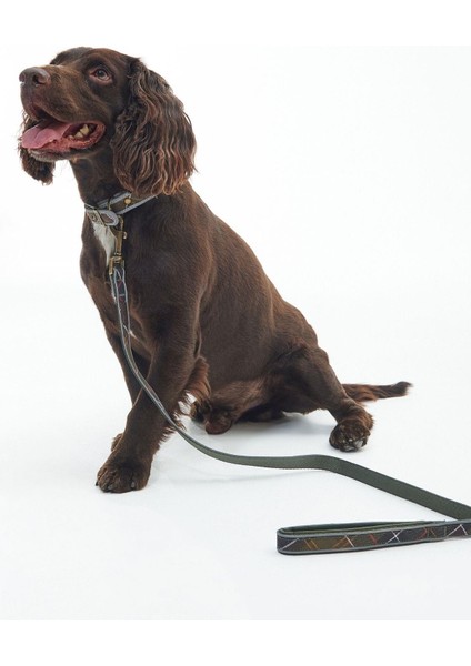 Reflective Tartan Comfort Köpek Tasması TN11 Classic Tartan modelleri