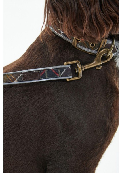 Reflective Tartan Comfort Köpek Tasması TN11 Classic Tartan indirimleri
