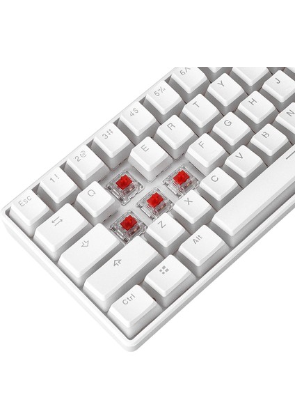 KB-R135 Parvus Beyaz Type-C Bağlantilı RGB Puding Tuşlu Red Switch Us Gaming Oyuncu Klavyesi