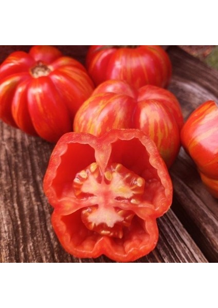 Striped Cavern Çizgili Domates Tohumu (15 Tohum) fiyatları