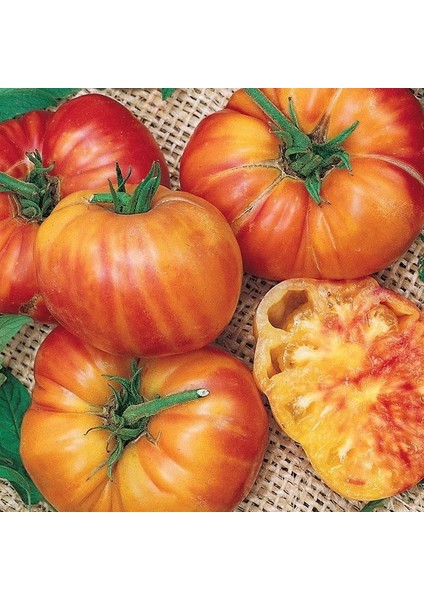 Alacalı Etli Hillbilly Flame Domates Tohumu (15 Tohum)