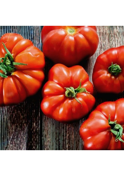 Marmade Etli Domates Tohumu (15 Tohum)