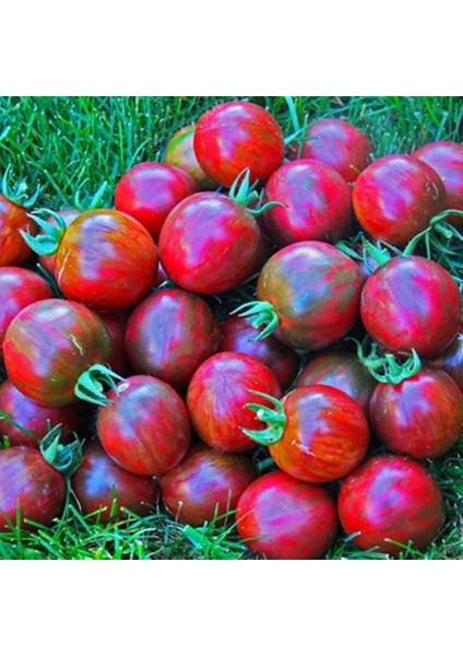 Nadir Kırmızı Siyah De Baroq Black Domates Tohumu (15 Tohum)