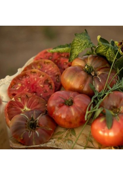 Dwarf Black Fire Etli Dilim Domates Tohumu (15 Tohum)