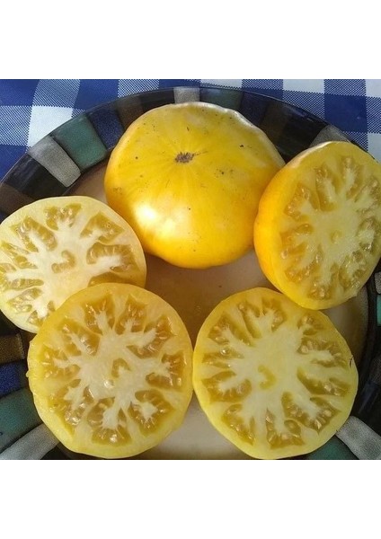 Red Spot Yellow Domates Tohumu (15 Tohum)