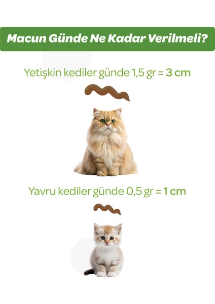 Anti-Hairball Malt Macun 100gr (Tüy Yumağı Önleyici)