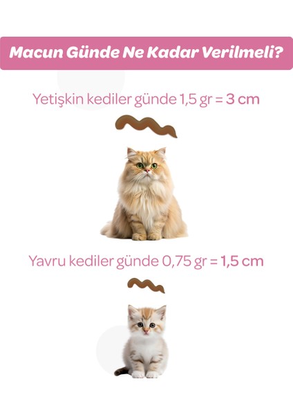 Vet's Plus Yavru Kediler İçin Malt Kedi Macunu 100gr (Hamile Kediler İçin Folik Asitli)