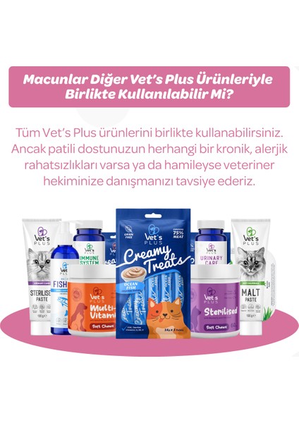 Vet's Plus Yavru Kediler İçin Malt Kedi Macunu 100gr (Hamile Kediler İçin Folik Asitli)