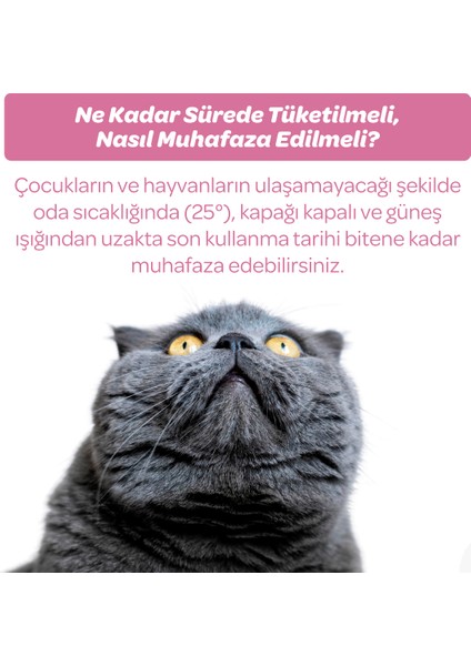 Vet's Plus Yavru Kediler İçin Malt Kedi Macunu 100gr (Hamile Kediler İçin Folik Asitli)